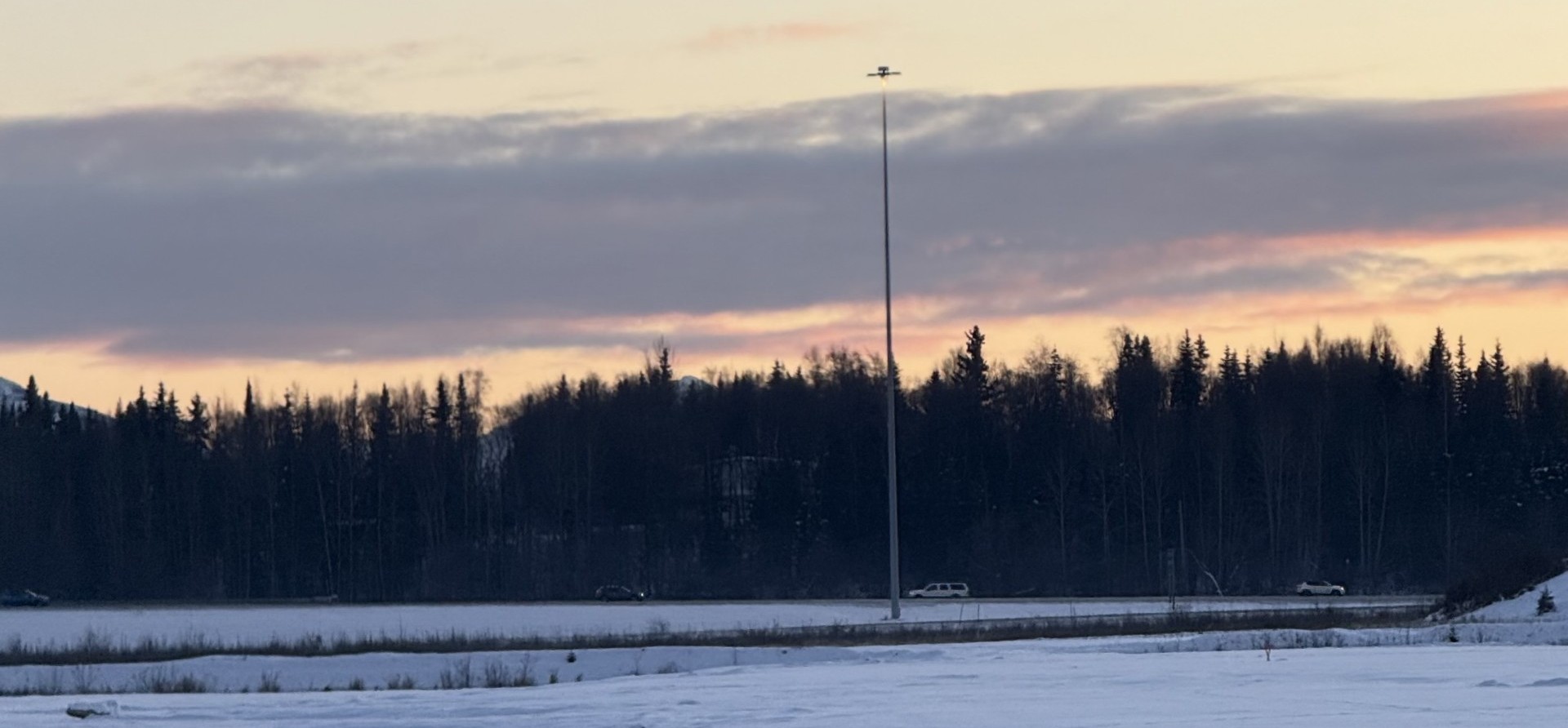 moose walking across snow landscape